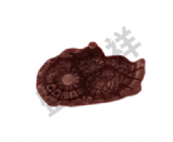 1.2343����ģ�߸�